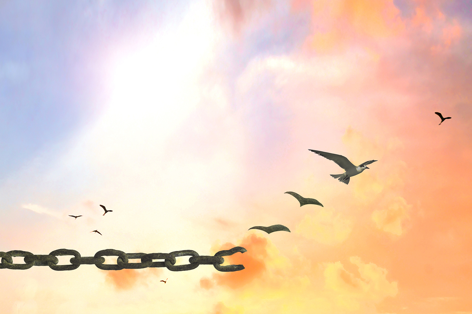 Finding Healing After Trauma a bird breaking free from a chain and flying into the sun