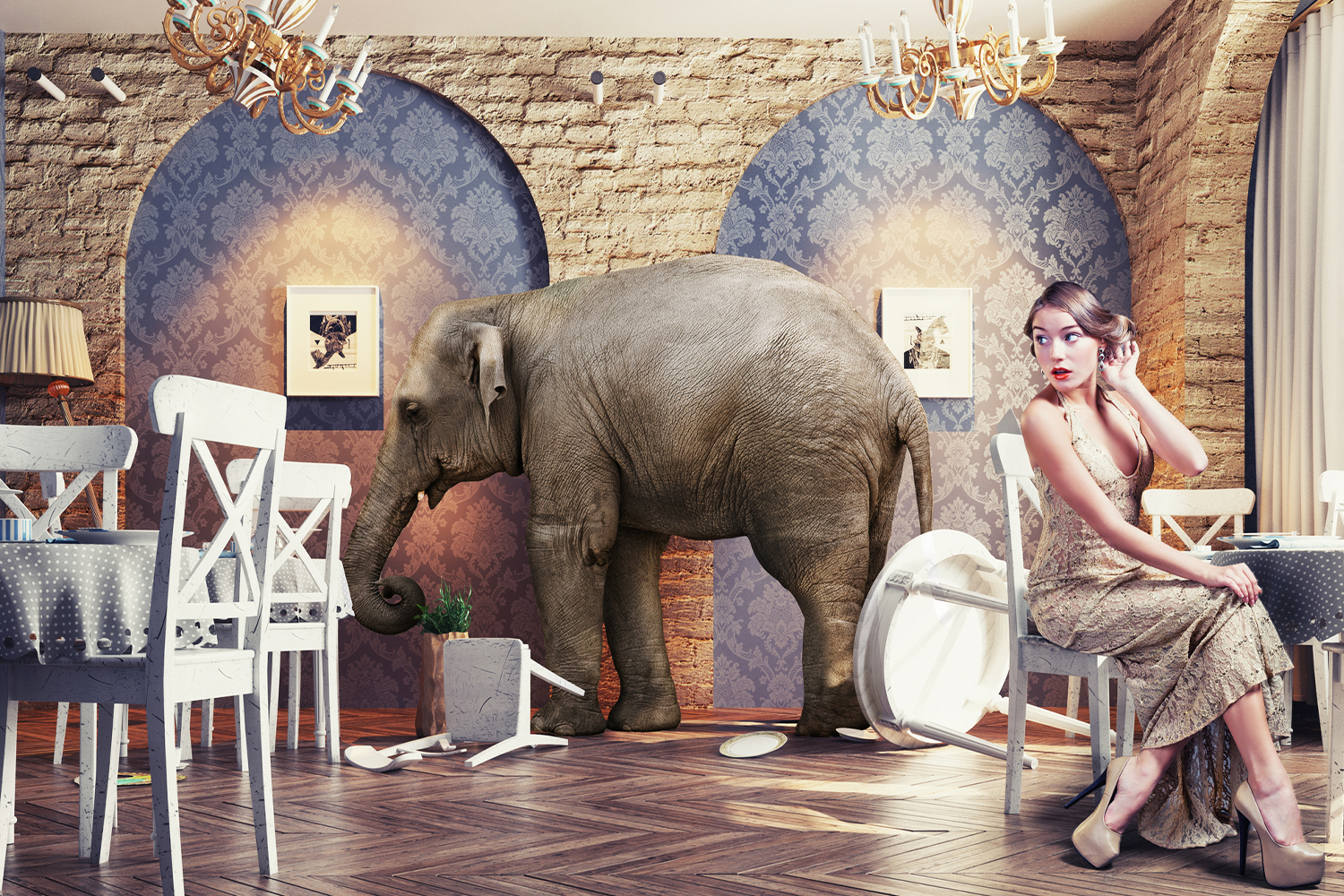 Staying Calm in the Midst of Chaos A woman preening and ignoring the elephant in the room, literally.