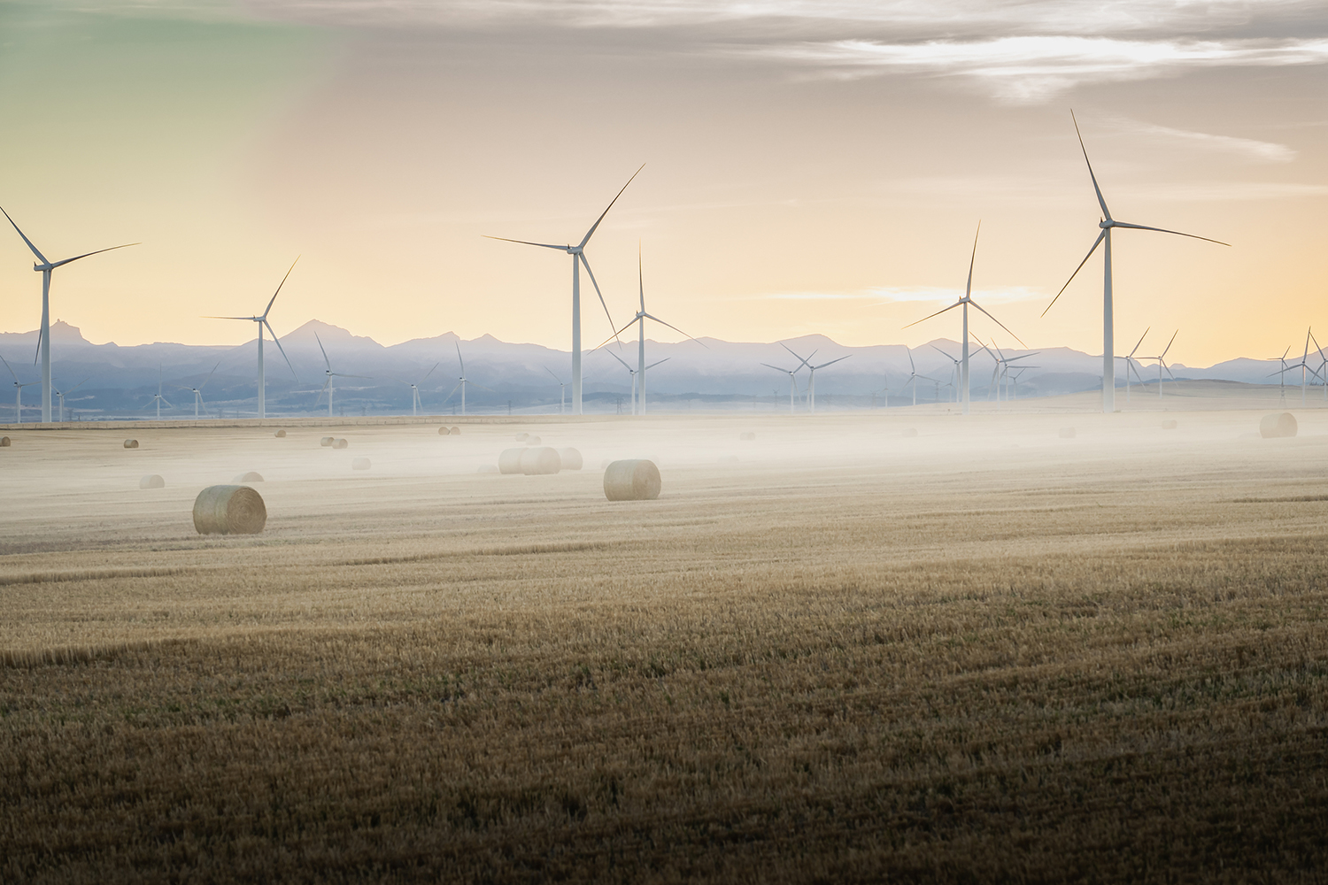 The Turmoil Around Climate Change windmills in the distance behind a field of wheat and hay