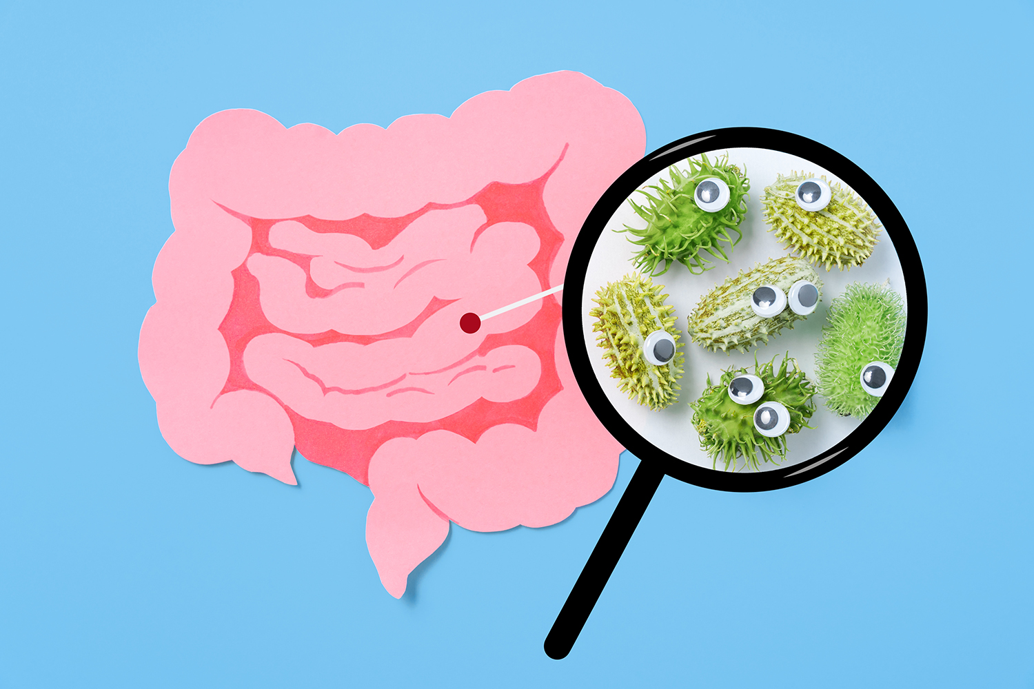 an illustration of intestines, with a magnifying glass showing good bacteria