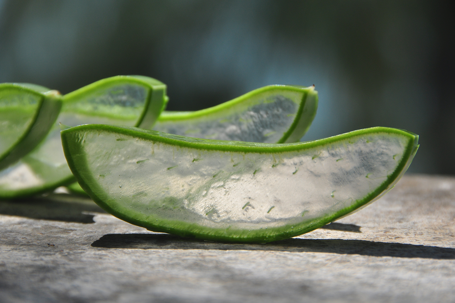 slices of chopped aloe vera