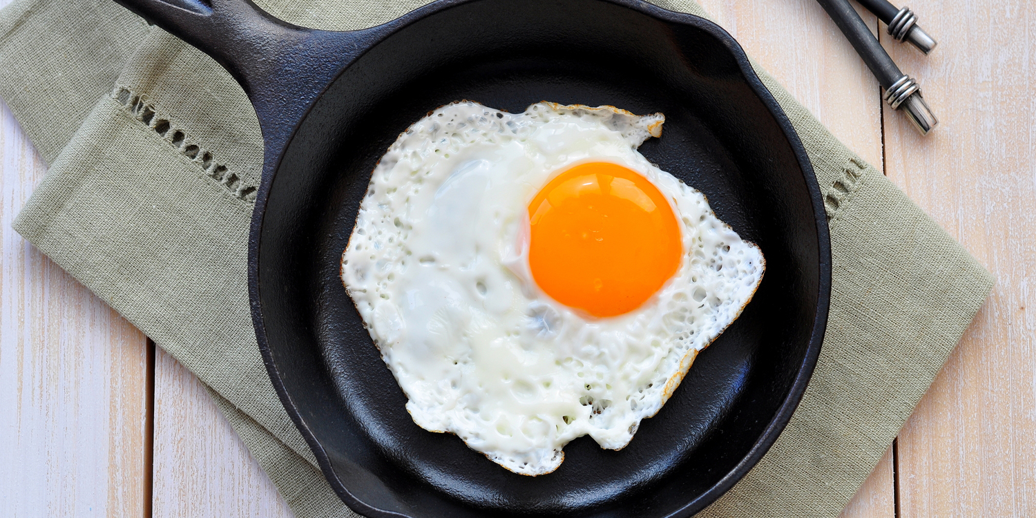 Egg Protein