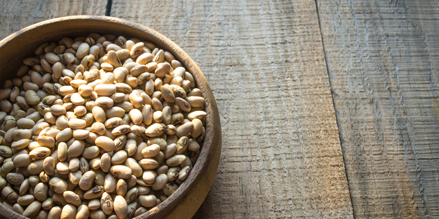 Roasted Soybeans A natural wood bowl of roasted soy beans