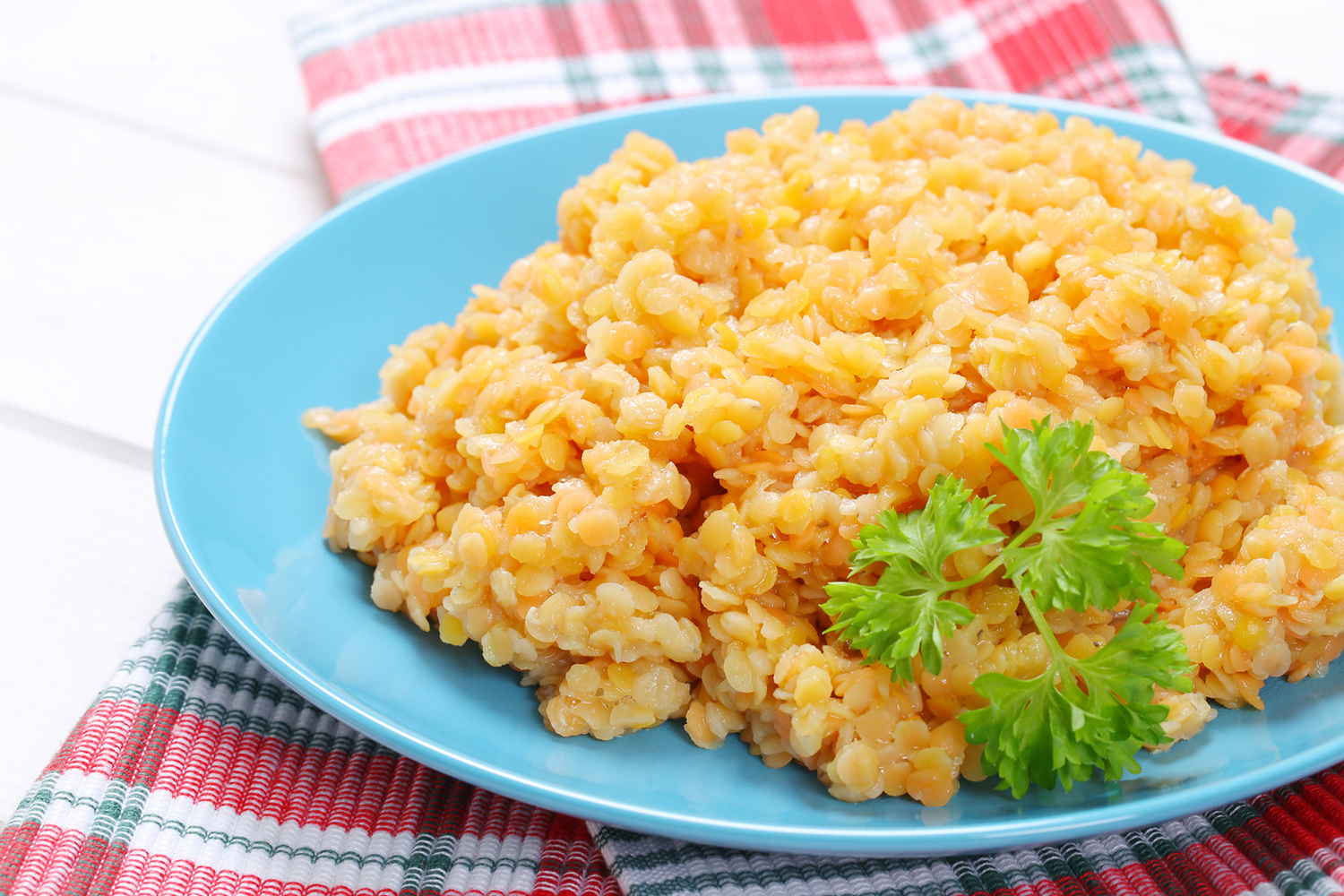 Cooked red lentils on a light blue plate.