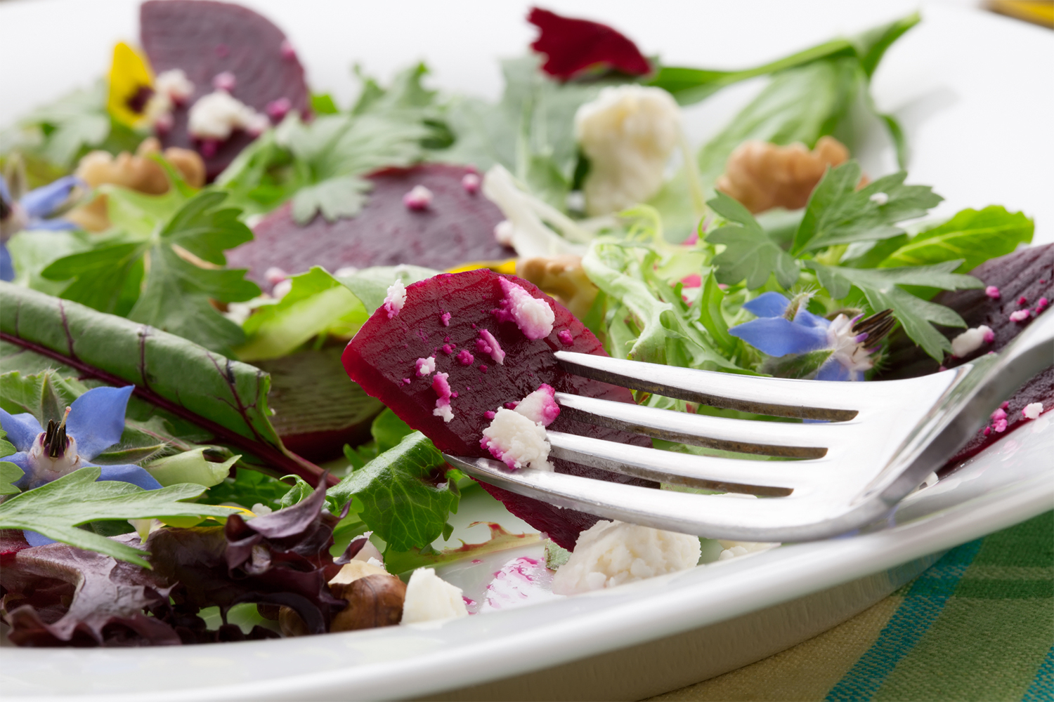 Beet and Goat Cheese Salad a plate of beet salad with baby greens and goat cheese