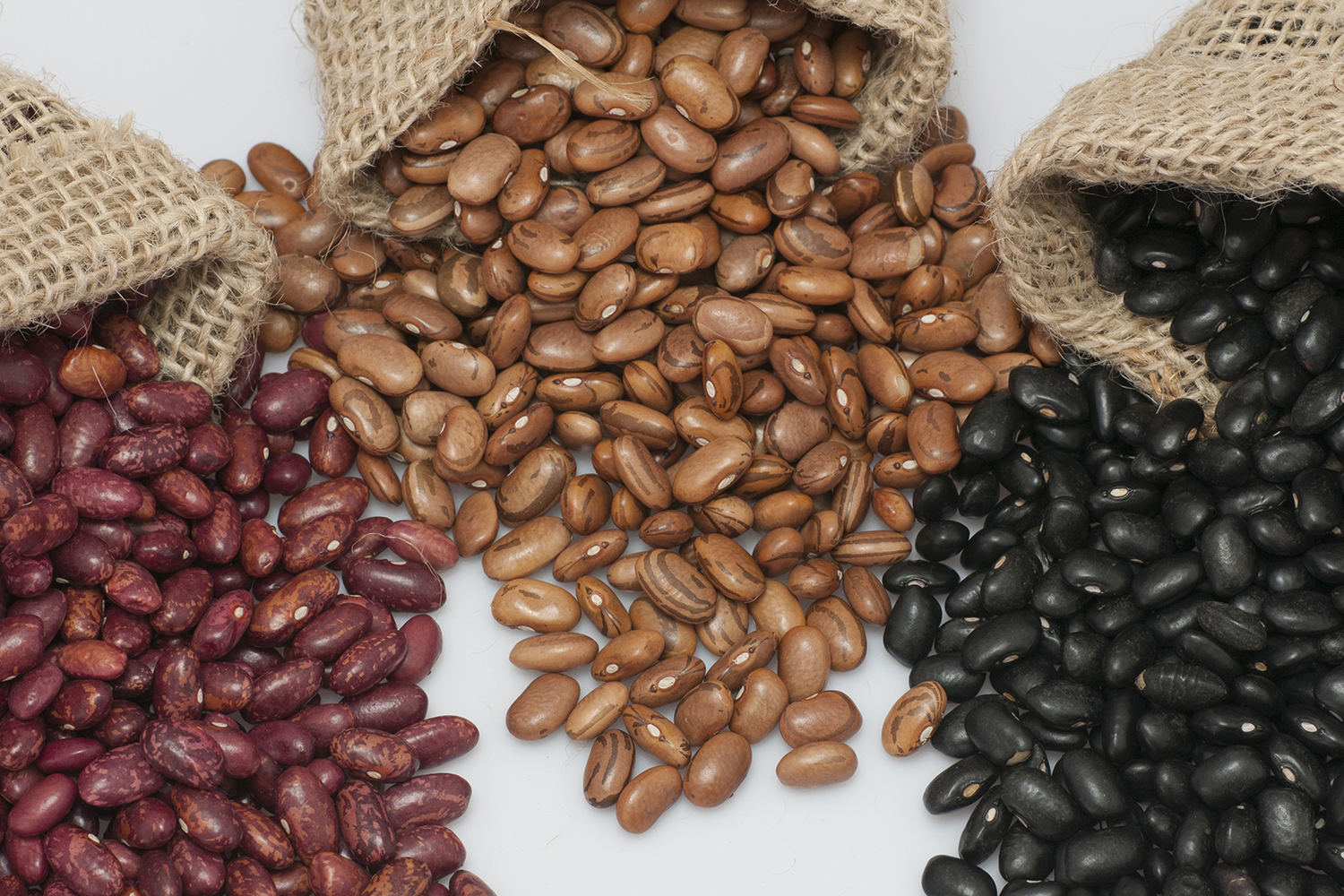 Three-Bean Salad bags of pinto, kidney, and black beans