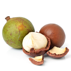 macadamia nuts