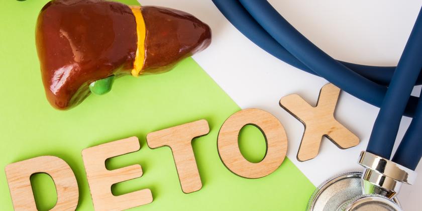 a model of the liver, and the word detox