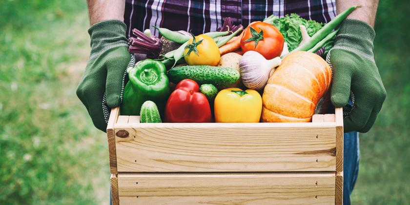 a farmer holding a crate of fresh organic produce