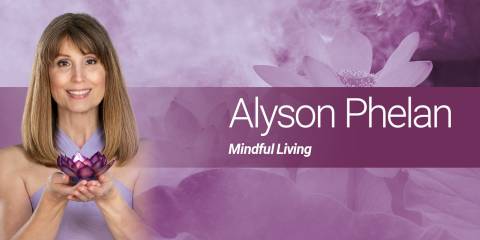 Alyson Phelan