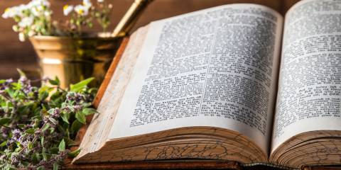 Ancient Herbs for Modern Ailments Ancient natural medicine, herbs and old herbal medicine book.