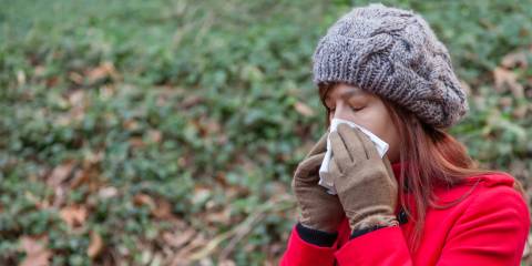 Fall Allergies