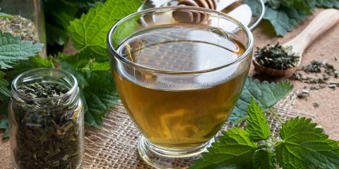 Hack Your Hay Fever Fresh and dried nettles with a cup of nettle tea.