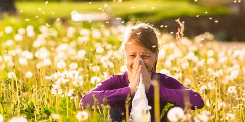 A little girl in a field, sneezing her poor head off.