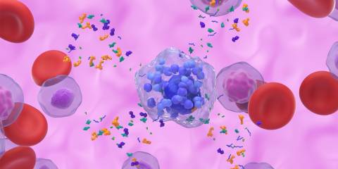 a 3d illustration of activated mast cells releasing granules and a histamine reaction