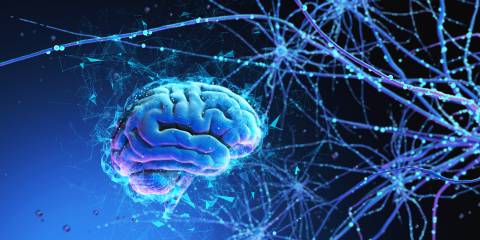 a rendering of a brain with an electrified network of neurons