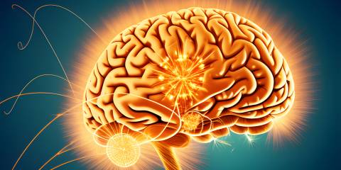 a brain surging with energy and ideas