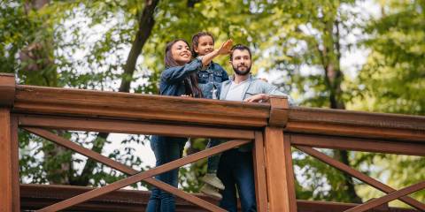 Anticancer Tips to Safeguard Your Health  Happy interracial family standing on wooden bridge, while mother pointing somewhere