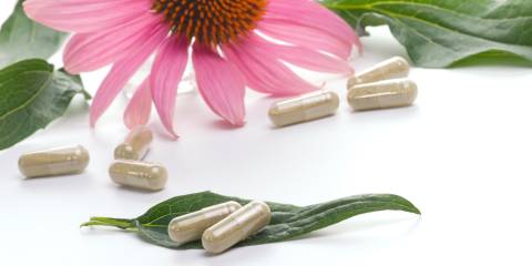 an echinacea flower with capsules of dried powder