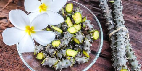 Tinospora cordifolia herb with white plumeria flower on old wooden background