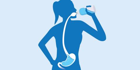 a diagram of a woman drinking water that passes through her digestive system