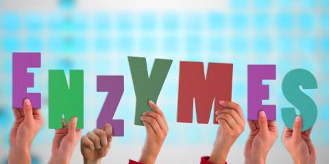 Digestive Enzymes