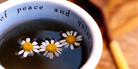 A cup of chamomile tea. The mug says "peace and quiet."