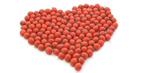 Hawthorn for Cardiovascular Health