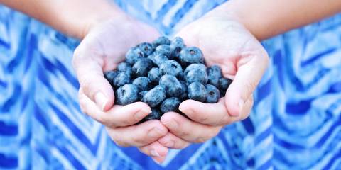 Blueberries