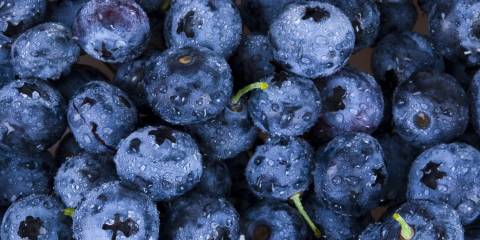 Blueberries