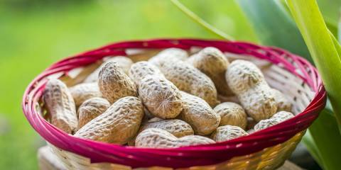Peanuts Pack a Powerful Nutritious Punch
