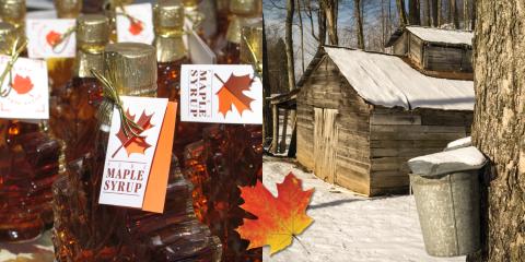 Maple Syrup