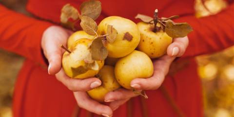 Why You Should Eat Apples