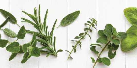 Good Health in Your Spice Rack
