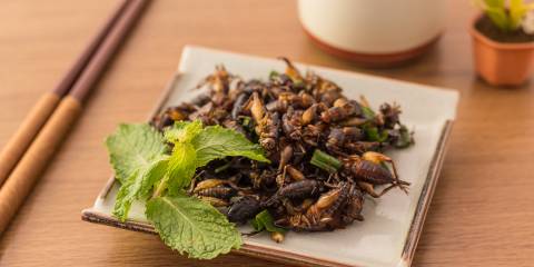 A plate of fried crickets