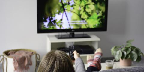 Person watching a nature documentary on their TV.