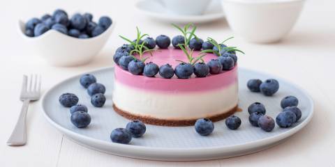 Cheesecake Base A blueberry cheesecake on a plate ready to serve.