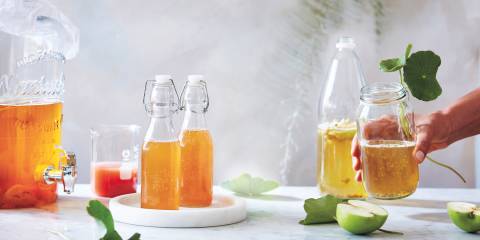 Varying stages of the kombucha brewing process. From fermentation, bottling and ready to drink.