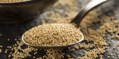 Amaranth Salad a spoonful of raw amaranth and a bowl of the ancient grain