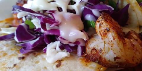 Chipotle Shrimp Tacos grilled shrimp on a tortilla with red cabbage and greek yogurt