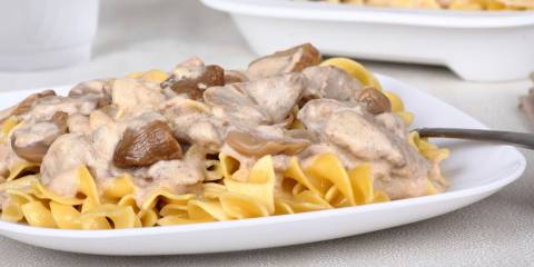 A plate of stroganoff made with thanksgiving leftovers