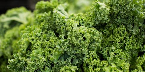 Crispy Kale Salad with Spicy Avocado Dressing fresh kale