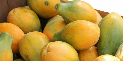 Papaya Pomegranate Salad bunch of papaya fruit