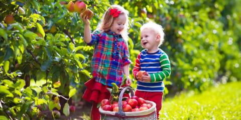 Docs Say Organic Food Good for Kids