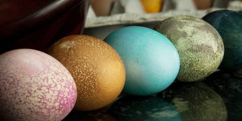 a variety of naturally dyed easter eggs