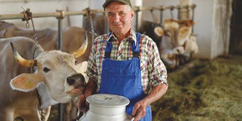 Think Globally, Eat Locally