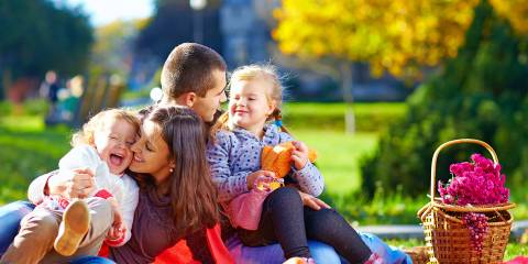 a family having a picnic in the park