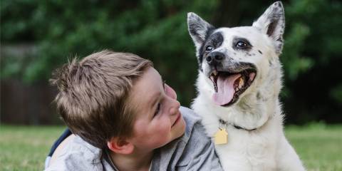 Boy and Dog