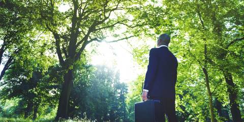 A businessman gazing at light coming through the forest canopy