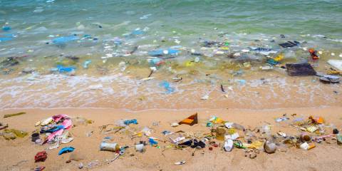 trash in the ocean